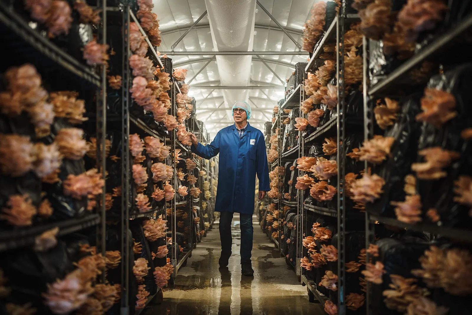 Person in a blue coat and cap stands between rows of shelves filled with growing pink mushrooms in a large indoor farm.