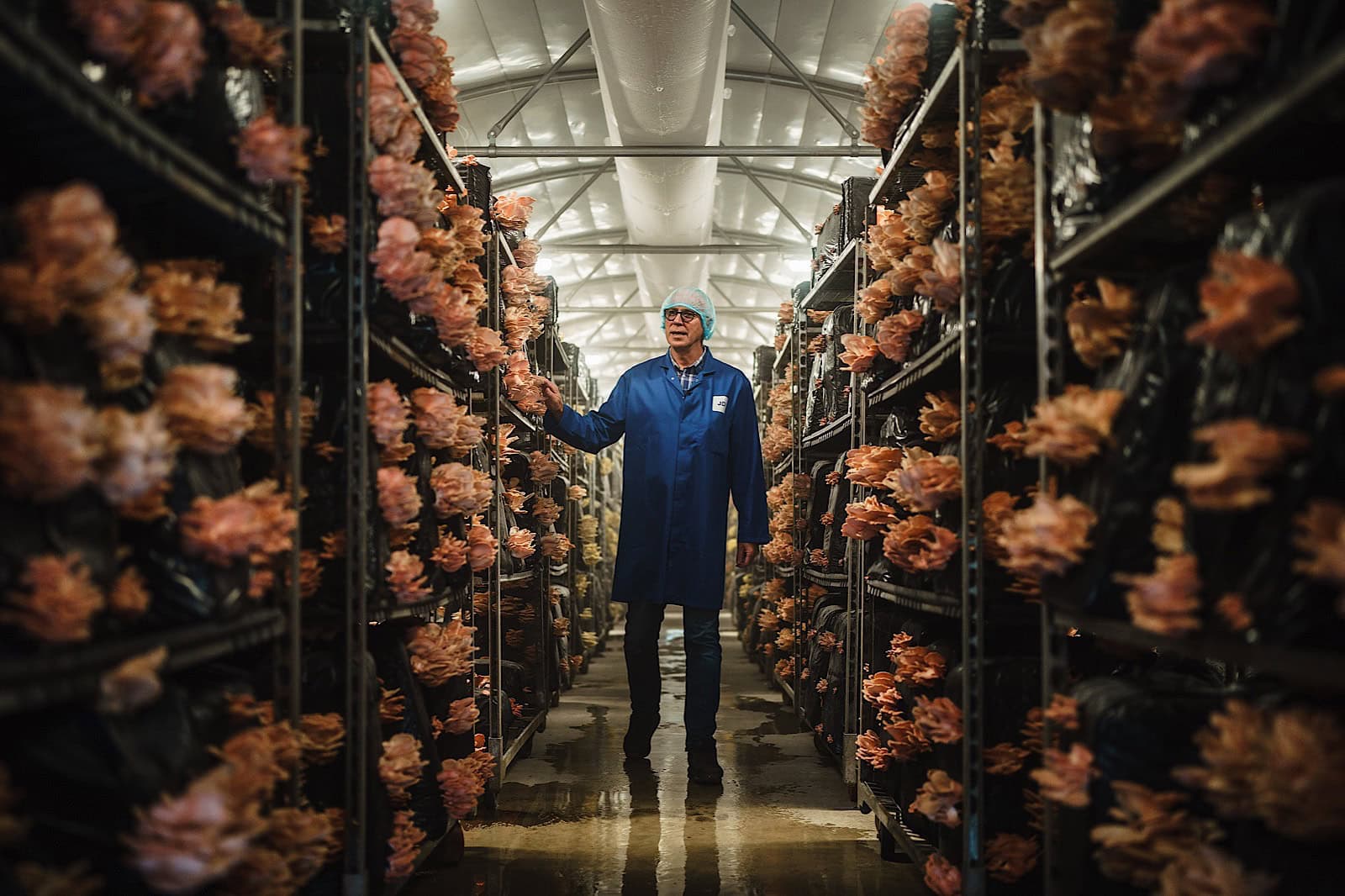 Commercial Portrait of man walking down aisles of product in warehouse